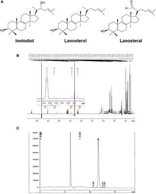 Inotodiol From Inonotus obliquus Chaga Mushroom Induces Atypical Maturation in Dendritic Cells